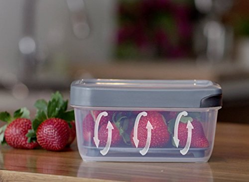 Geoffrey Zakarian Pro For Home Easy Find and Read Lids Food Storage Container with Labeling Strip, 100% Leak-Proof and BPA FREE Plastic, Make Your Own Set, Grey