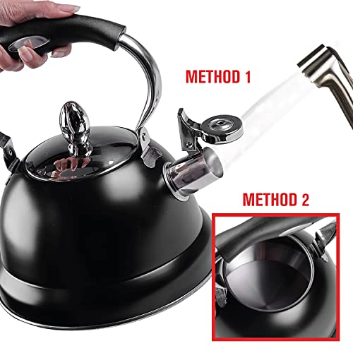 Emeril Lagasse Whistling Tea Kettle, Stainless Steel Whistling Tea Pot for Induction Stove Top, Fast to Boil Water for Home Kitchen Condo, with Ergonomic Cool Grip Handle, Black