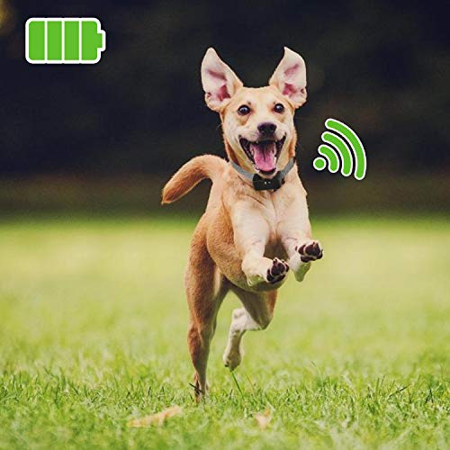 Battery for Invisible Fence Dog Collar, 4 Pack